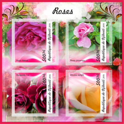 Цветы и Кактусы Розы
